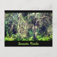 Florida Sarasota foilage tropical trees photograph