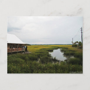 Florida Scenery Postcard