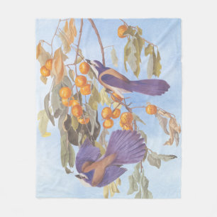 Florida Scrub Jay Audubon Bird Pair on Orange Tree Fleece Blanket