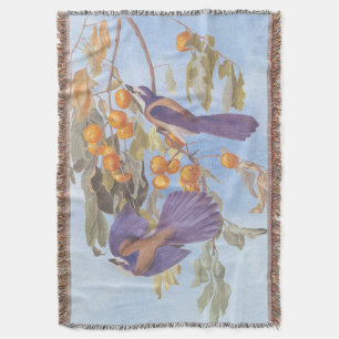 Florida Scrub Jay Audubon Bird Pair on Orange Tree Throw Blanket