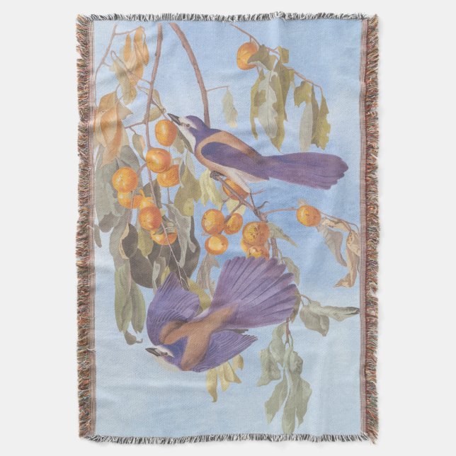 Florida Scrub Jay Audubon Bird Pair on Orange Tree Throw Blanket (Front Vertical)