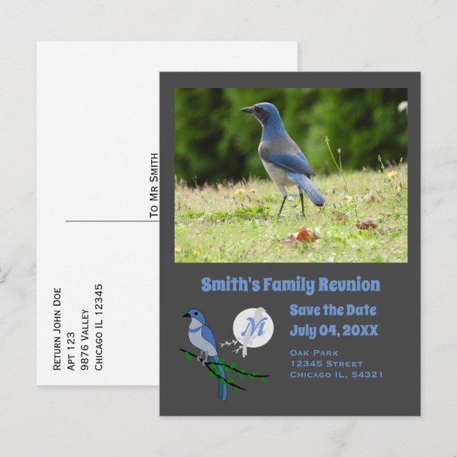 Florida Scrub Jay Family Reunion Monogram Photo Invitation Postcard (Front/Back)