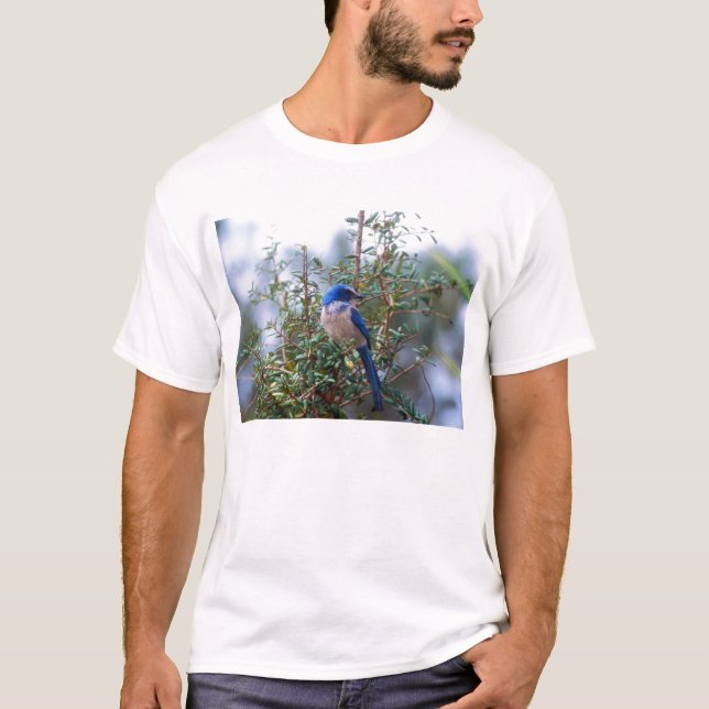 Florida Scrub Jay T-Shirt (Front)
