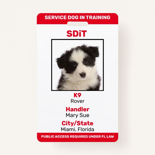 Florida SDiT (Service Dog In Training) info badge ID Badge (Front)