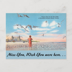 Florida, Sea Gulls, Daytona Beach Postcard