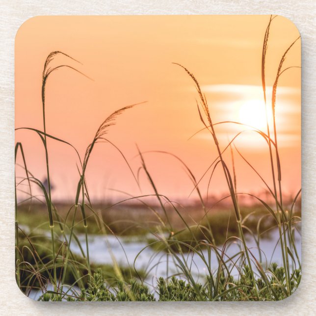 Florida Sea Oats Sunrise Coaster (Front)