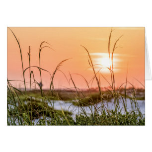 Florida Sea Oats Sunrise Greeting Card