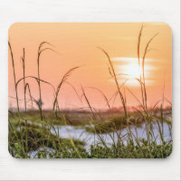 Florida Sea Oats Sunrise