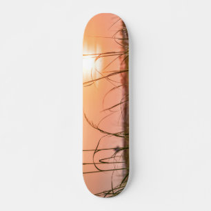 Florida Sea Oats Sunrise Skateboard