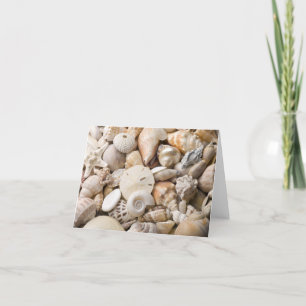 Florida Sea Shell Background - Beach Shells Custom Card