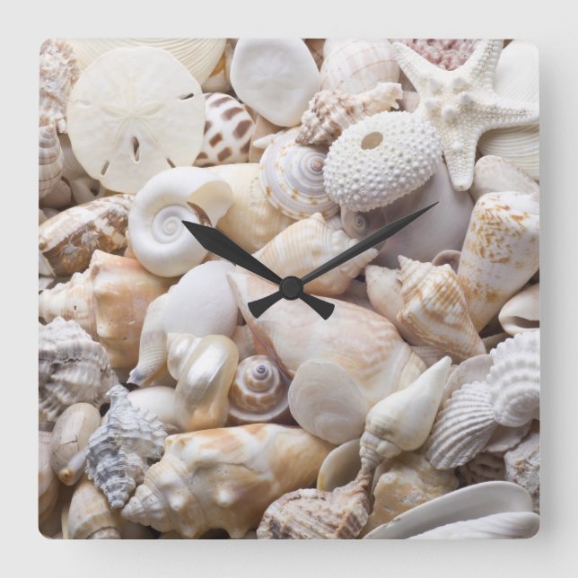Florida Sea Shell Background - Beach Shells Custom Square Wall Clock (Front)