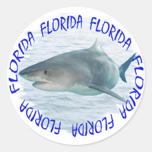 Florida shark classic round sticker