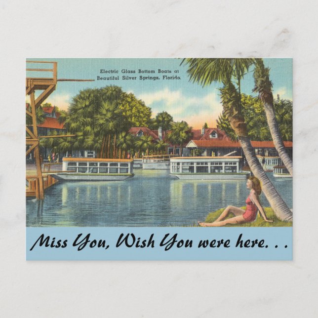 Florida, Silver Springs Postcard (Front)