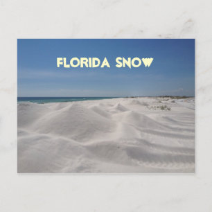 Florida Snow Postcard