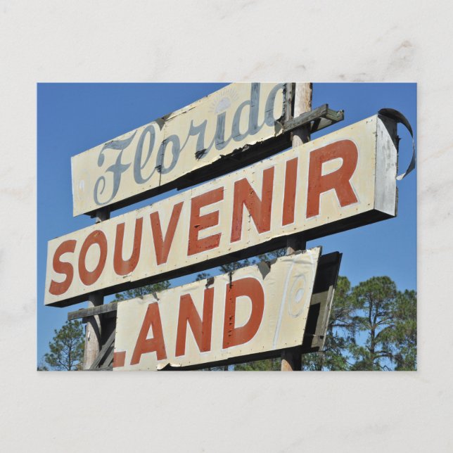Florida Souvenir Land Vintage Sign Postcard (Front)