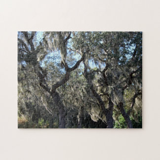 Florida Spanish Moss Jigsaw Puzzle