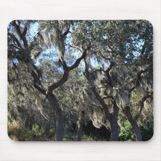 Florida Spanish Moss Mouse Mat (Front)