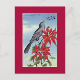 Florida state bird and flower (mockingbird) postcard