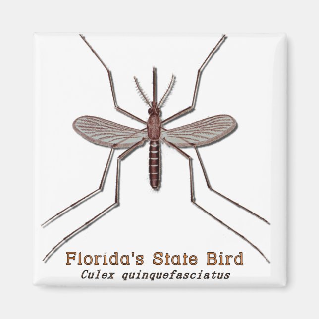 Florida State Bird Magnet (Front)