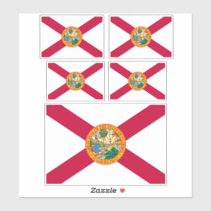 Florida State Flag Design