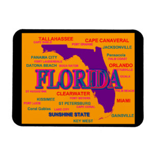Florida State Pride Map Silhouette Magnet