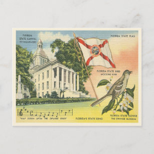 Florida state symbols vintage Tallahassee Postcard