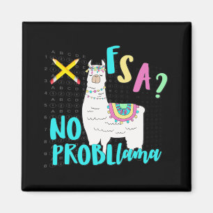 Florida State Test Day Llama For Students  Magnet