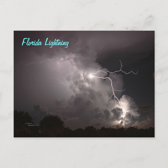 Florida Storm Lightning Postcard (Front)