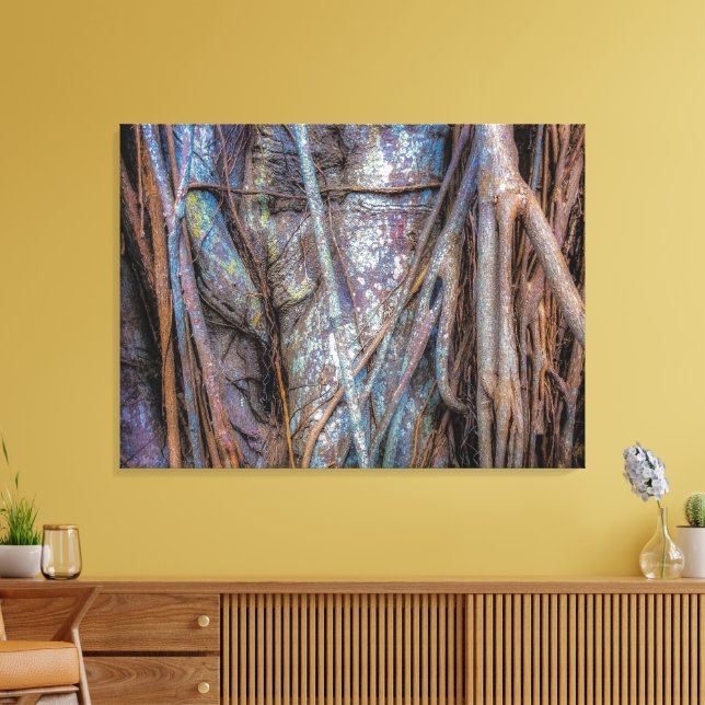 Florida Strangler Fig Canvas Print (Insitu(LivingRoom))