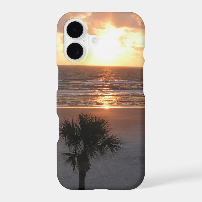 Florida sunrise (Back)