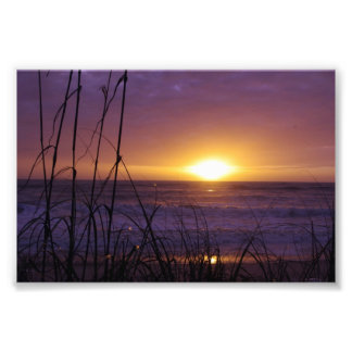 Florida Sunrise Photo Print