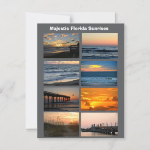Florida Sunrises  Postcard