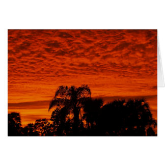 Florida Sunset