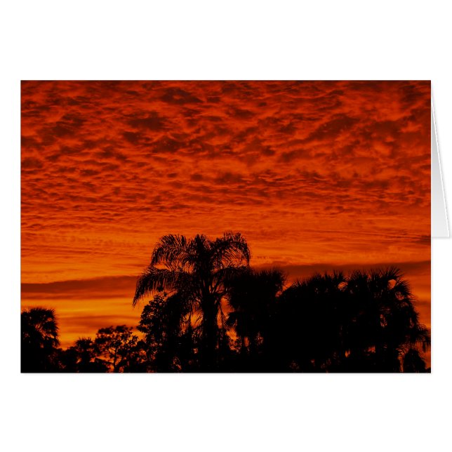 Florida Sunset (Front Horizontal)
