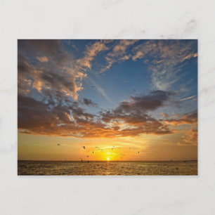 Florida Sunset - Postcard