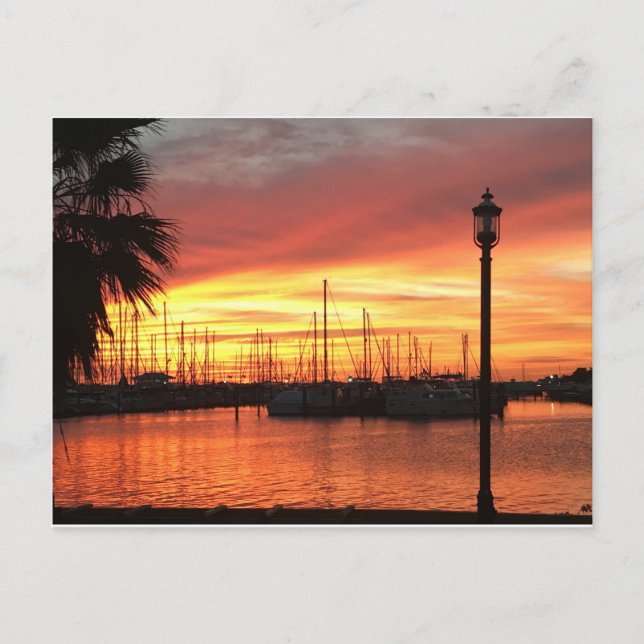 Florida Sunset Postcard (Front)