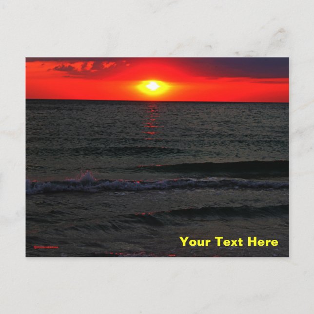 Florida Sunset Postcard (Front)