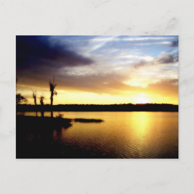 Florida Sunset Postcard (Front)