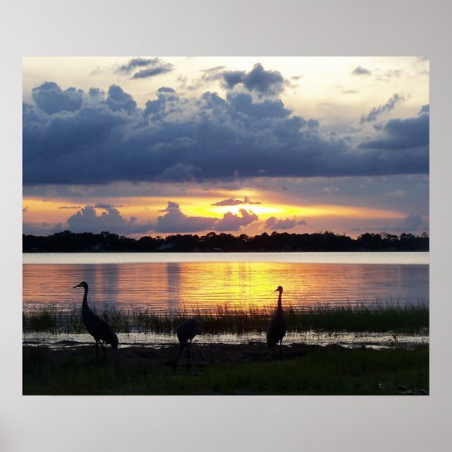 Florida Sunset with tropical birds Mount Dora Art Poster (Front)