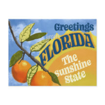 Florida Sunshine Postcard