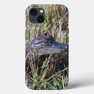 Florida Swamp Baby Alligator Reptile Photo iPhone 13 Case