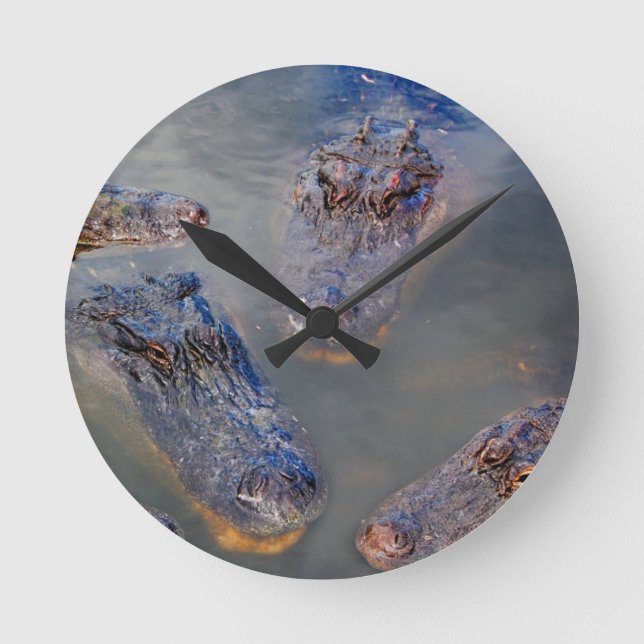 Florida-swimming-hole-design-001 Round Clock (Front)