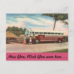 Florida, Tamiami Trail, Everglades Postcard