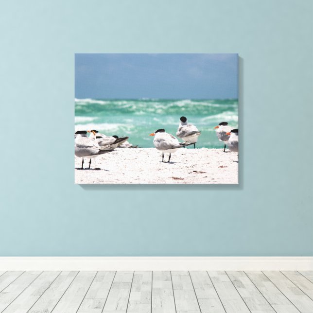 Florida Terns on White Sandy Florida Beach Canvas Print (Insitu(Wood Floor))