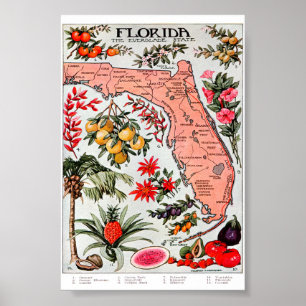 Florida the Everglade State Map Poster
