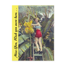 Florida, "The Sunshine City"