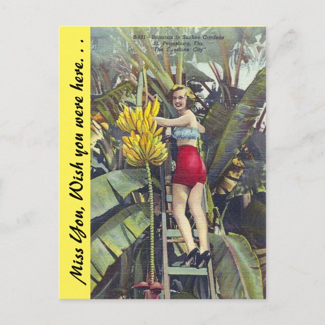 Florida, "The Sunshine City" Postcard (Front)