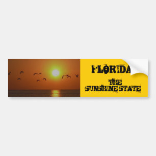 FLORIDA!, The Sunshine State, birds fling over Gul Bumper Sticker