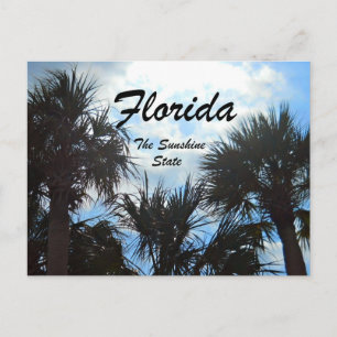 Florida, the Sunshine State Postcard