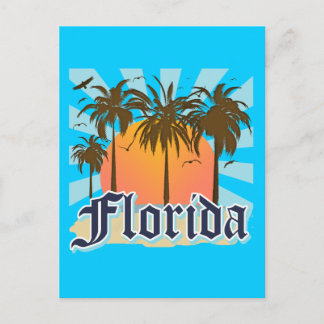 Florida The Sunshine State USA Postcard